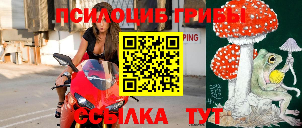 Ртищево  Псилоцибиновые грибы прущие грибы  Вход с VPN 