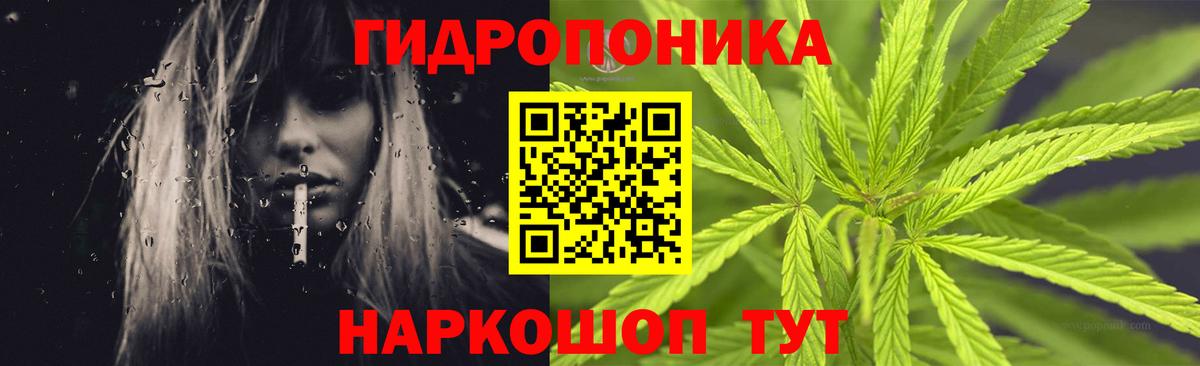 Шишки марихуана MAZAR  МАРИХУАНА THC 21%  Вход с VPN  Бошки марихуана THC 21%  Ртищево 